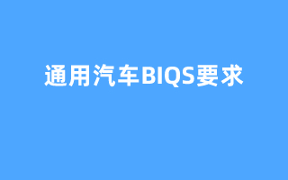 通用汽车BIQS要求 实战培训